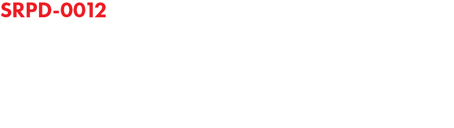 SRPD-0012 ANOTHER GABBERDISCO COMPILATION The future sound of retro vol.2 - The Speed Freak and V.A.